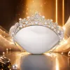 Brillante plata perla diamantes corona tiara elegante hermosa mujer peluquería con adornos regalo Specification image